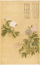 Peonies, 1685. Yun Shouping (Chinese, 1633-1690). Hanging scroll, ink and color on silk; image: 118