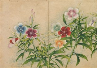 Desk Album: Flower and Bird Paintings (Pinks), 18th Century. Zhang Ruoai (Chinese). Album leaf, ink