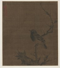 Sleeping Bird on a Prunus Branch, 1400s. Bian Wenjin (Chinese, about 1354-1428). Album leaf, ink on