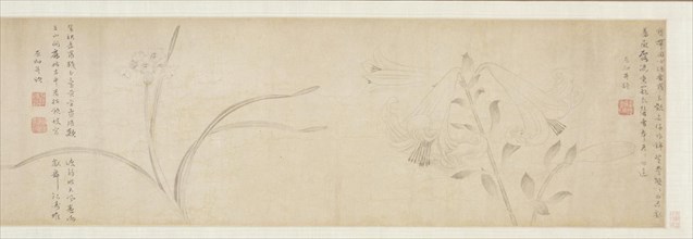 Ink Flowers, 1361. Zhao Zhong (Chinese, second half of the 1300s). Handscroll, ink on paper;