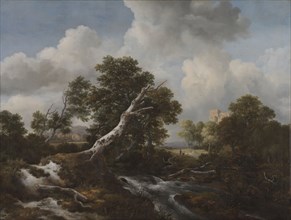 Low Waterfall in a Wooded Landscape with a Dead Beech Tree, c. 1660-1670. Jacob van Ruisdael
