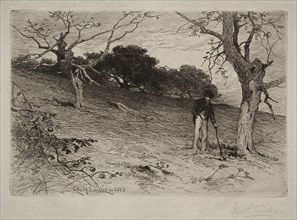 Landscape, 1883. George Henry Smillie (American, 1840-1921). Etching; sheet: 34.6 x 46.5 cm (13 5/8