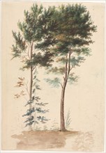 Trees, 1700s(?). Jean Baptiste Pillement (French, 1728-1808). Watercolor over graphite; sheet: 30.3