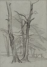 Landscape Study with Trees, c. 1870-1875. Thomas Couture (French, 1815-1879). Black chalk with