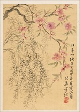 Peach Blossoms and Willows, 1842. Hanko Okada (Japanese, 1782-1845). Album leaf; ink and color on
