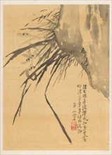 Orchid, 19th century. Watanabe Kazan (Japanese, 1793-1841). Album leaf; ink on ivory silk; sheet: