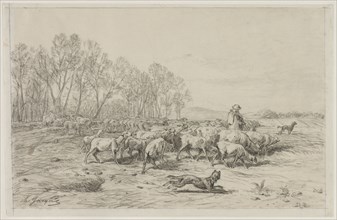Landscape with a Flock of Sheep, 1800s. Charles-Émile Jacque (French, 1813-1894). Black chalk with