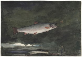 Leaping Trout, 1889. Winslow Homer (American, 1836-1910). Watercolor over graphite; sheet: 35 x 50
