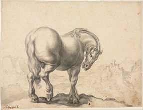 Study of a Stallion, first third 18th century?. Giovanni Battista Foggini (Italian, 1652-1725).