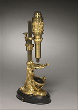 Microscope, c. 1745- 1765. France, mid-18th century. Gilt bronze mounts; overall: 28.6 x 15.4 x 11