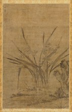 Narcissus and Rocks, 1368-1644. Lu Tianru (Chinese, first half of 1400s). Hanging scroll, ink on