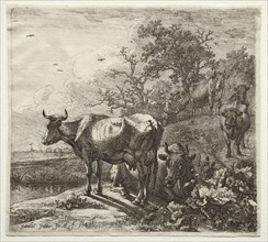 The Cowherd. Paulus Potter (Dutch, 1625-1654). Etching