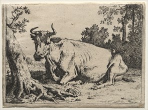 The cow lying down near a tree. Paulus Potter (Dutch, 1625-1654). Etching