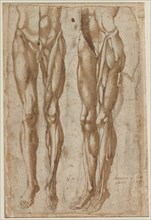 Two Studies of a Flayed Man, 1554. Bartolommeo da Arezzo (Italian, 1578). Pen and brown ink and