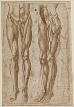 Two Studies of a Flayed Man (recto) Study of a Flayed Torso (verso), 1554. Bartolommeo da Arezzo