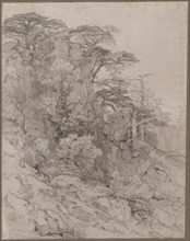 Trees of a Rocky Hillside, late 1800s. Gustave Achille Guillaumet (French, 1840-1887). Black chalk