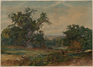 View near Bedford. Bradford Rudge (British, 1805-1885). Watercolor;