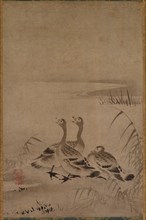 Wild Geese, early 1500s. Kano Chokichi (Japanese). Hanging scroll; ink on paper; overall: 50.8 x 33