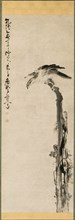 Eagle on a Tree Trunk, 1755. Huang Shen (Chinese, 1687-1772). Hanging scroll, ink and color on