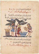 Three physicians preparing medicine, from an Arabic translation of the Materia Medica of