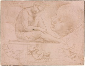 Studies of a Seated Female, Child's Head, and Three Studies of a Baby, c. 1507-1508. Raphael
