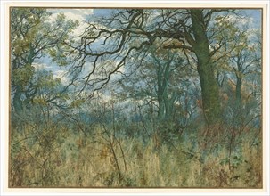 Trees and Undergrowth, 1885. Garden William Fraser (British, 1856-1921). Watercolor with gouache;