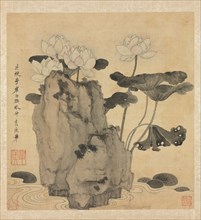 Paintings after Ancient Masters: Lotus and Rocks, 1598-1652. Chen Hongshou (Chinese, 1598/99-1652).