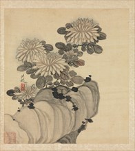 Paintings after Ancient Masters: Chrysanthemum and Rock, 1598-1652. Chen Hongshou (Chinese,