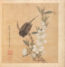 Paintings after Ancient Masters: A Bird and Peach-Blossom Branch, 1598-1652. Chen Hongshou