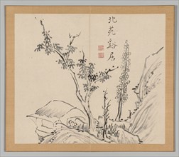 Double Album of Landscape Studies after Ikeno Taiga, Volume 2 (leaf 13), 18th century. Aoki Shukuya