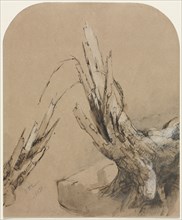 A Blasted Tree, 1851. Jasper F. Cropsey (American, 1823-1900). Pen and brown ink, brown wash and