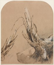 A Blasted Tree (recto) Floorplan (verso) , 1851. Jasper F. Cropsey (American, 1823-1900). Pen and