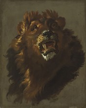 Lion, 1750s. Giuseppe Baldrighi (Italian, 1723-1803). Oil on canvas; framed: 108 x 92 x 7 cm (42