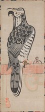 Falcon, 1615-1867. Japan, Edo period (1615-1868). Hanging scroll; ink and color on paper; painting