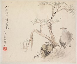 Album of Landscape Paintings Illustrating Old Poems: A Man Sits on a Water Buffalo, 1700s. Hua Yan