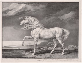 Fourteen Celebrated Horses:  Adonis, 1824. James Ward (British, 1769-1859). Lithograph