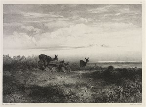 Landscape with Deer, c. 1840. Karl Bodmer (Swiss, 1809-1893). Lithograph