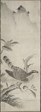 Hawk, mid 1500s. Masayoshi Fujiwara (Japanese). Hanging scroll; ink on paper; painting only: 119.6