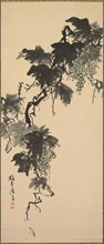 Grapes, 1800s. Baikan Sugai (Japanese, 1784-1844). Hanging scroll; ink and light color on paper;