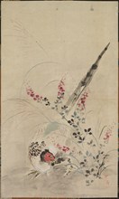 Pheasant and Grasses, late 17th-early 18th century. Attributed to Ogata Korin (Japanese, 1658-1716)
