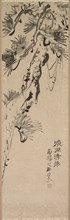Aged Pine, 1717-1780. Nakayama Koyo (Japanese, 1717-1780). Hanging scroll; ink on paper; image: 89