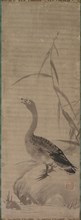 Goose, 17th century. Japan, Edo period (1615-1868). Hanging scroll; ink on paper; overall: 98.9 x
