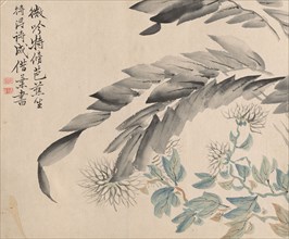 Chrysanthemums and Leaves of a Mulberry Tree. Tsubaki Chinzan (Japanese, 1801-1854). Ink and color