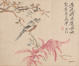 Strawberry Spinach and Nightingale. Tsubaki Chinzan (Japanese, 1801-1854). Watercolor on paper;