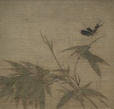 Insects and Bamboo, 13th Century. China, Southern Song dynasty (1127-1279). Album leaf, ink and