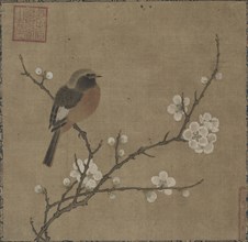 Bird on a Flowering Branch, 1100s. China, Southern Song dynasty (1127-1279). Album leaf mounted as