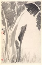 Banana Plants, 1788. Min Zhen (Chinese, 1730-after 1788). Album leaf, ink on paper; sheet: 29 x 18