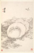Cat and Butterfly, 1788. Min Zhen (Chinese, 1730-after 1788). Album leaf, ink on paper; sheet: 29 x
