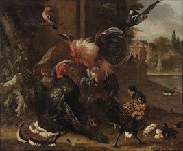 A Rooster and Turkey Fighting, c. 1680. Melchior de Hondecoeter (Dutch, 1636-1695). Oil on canvas;