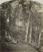 A Path Through a Wood, c. 1860. Major Francis Gresley (British). Albumen print from wet collodion